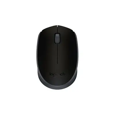 Souris sans fil LOGITECH M171